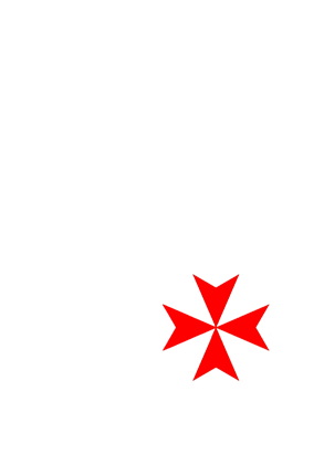 logo icon